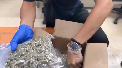 南投露营区成毒品转运站　收领大麻国际邮包！运毒集团4人落网