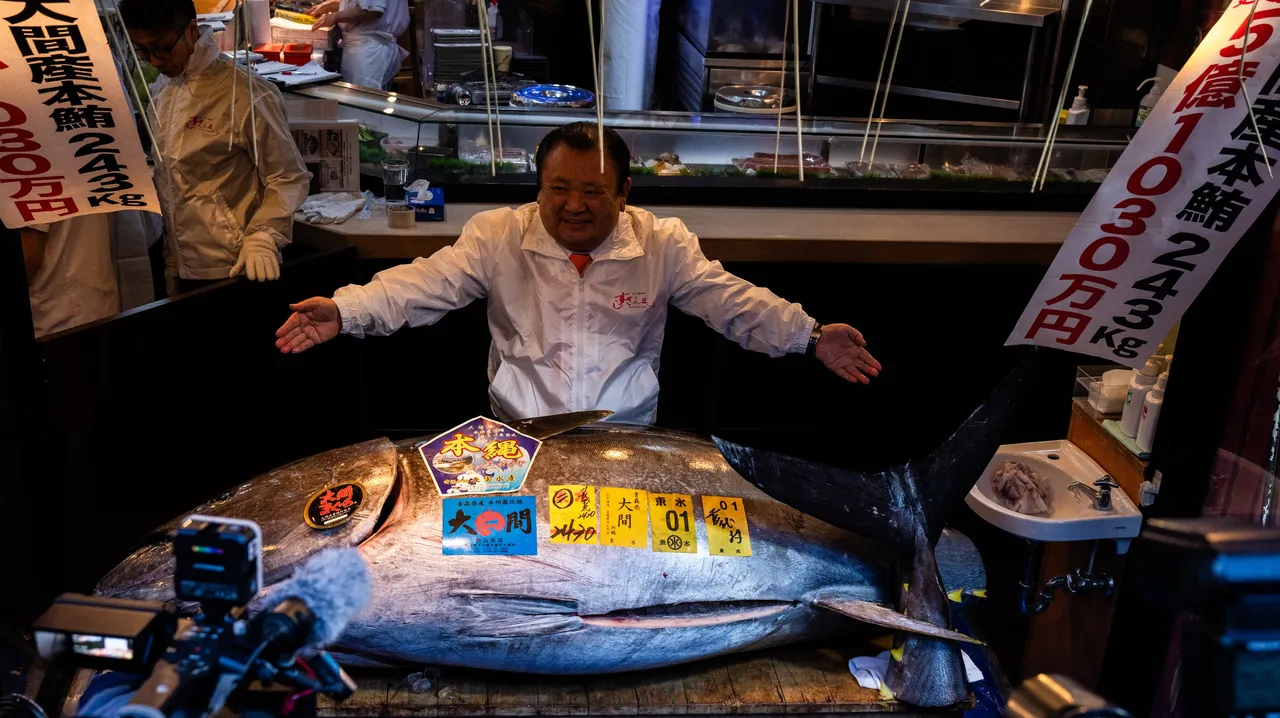 快来看！这尾价值5亿圆の「日本第一」黑鲔鱼　破天价纪录