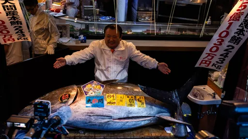快来看！这尾价值5亿圆の「日本第一」黑鲔鱼　破天价纪录