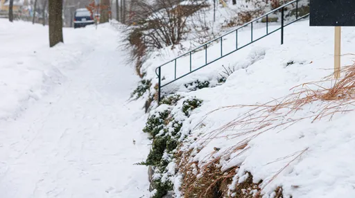 感覺冷？看看這裡吧　美國極寒逾1.75億人面臨停電及交通中斷