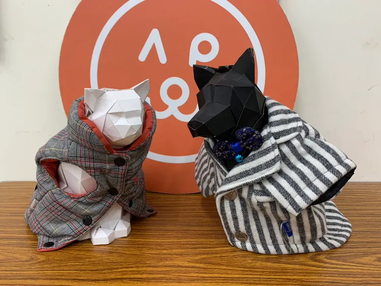 冬天認養毛孩即可獲得一件免費新衣。台北市動保處提供