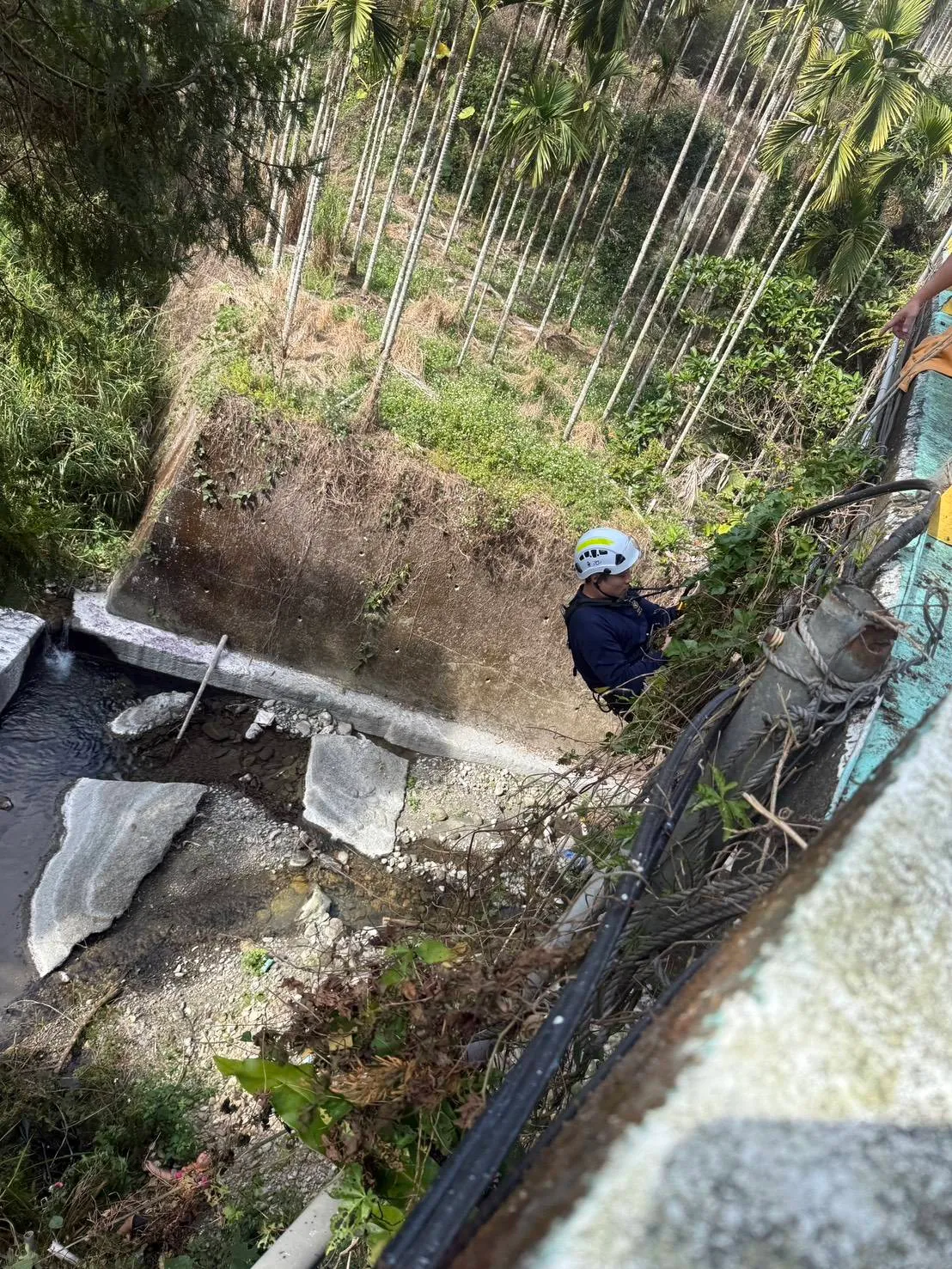 消防人員垂降至橋下救人。民眾提供