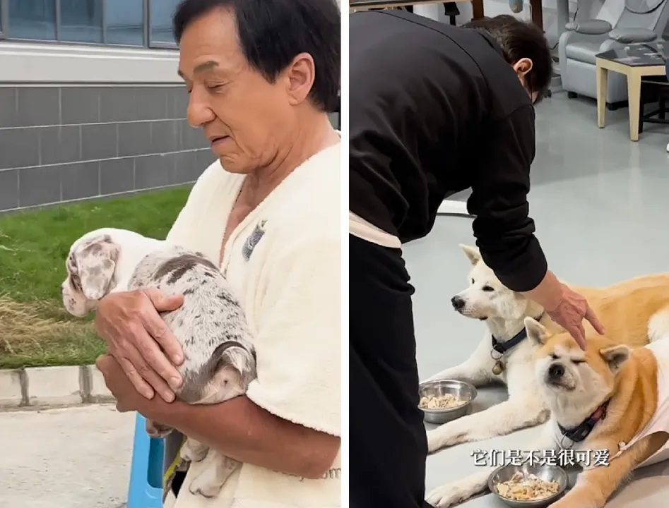 成龍逗狗。翻攝成龍小紅書