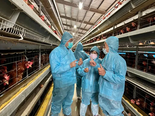 全力防堵禽流感！　桃市加強八大防護網嚴陣以待