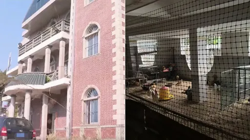 花2200万元盖别墅　邻居入侵把地下室变鸡舍