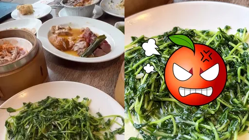 知名港式飲茶驚見死蟑螂　常客狂乾嘔！店員竟問：要不拿甜湯漱口？