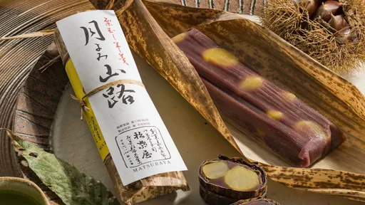 搭飛機帶「羊羹」被當恐怖份子　日本老店證實：與C4炸藥太像