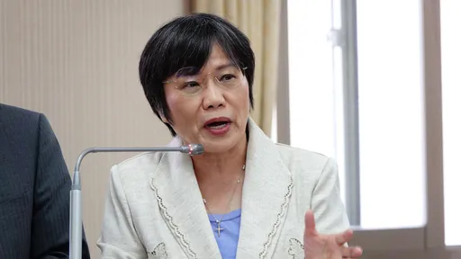 劉世芳外甥「不是賺紅錢是拿錢去貼」　謝金河曝公司情況