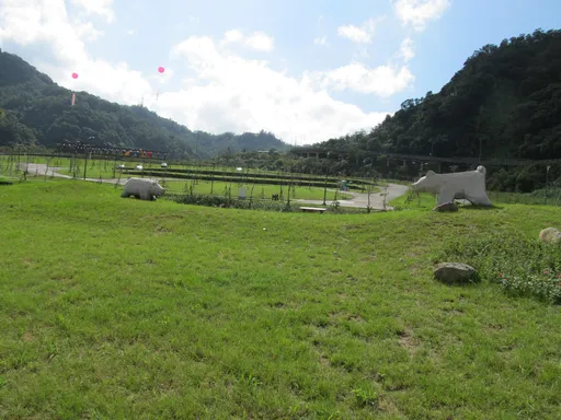 南港山豬窟掩埋場清晨大火　濃煙飄散雙北5區