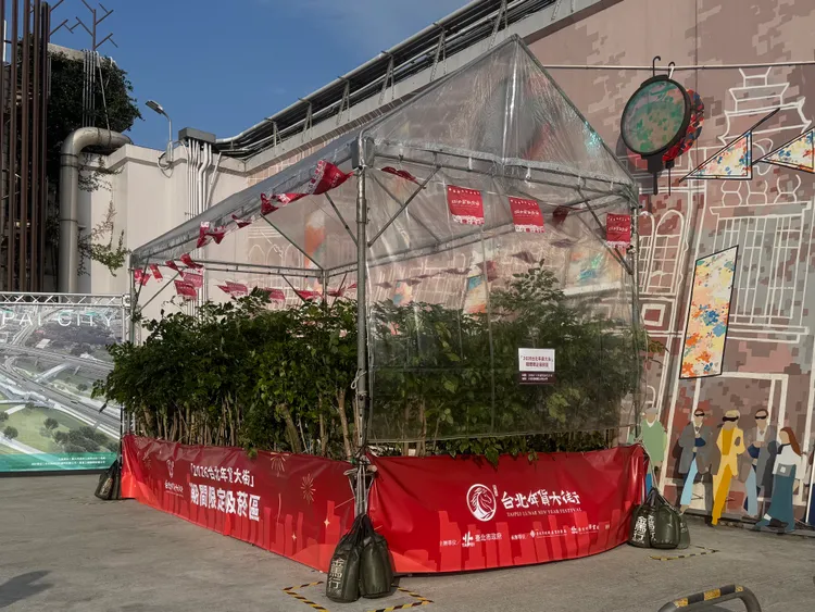 大稻埕碼頭廣場的開放式吸菸區，被網友批評難以阻隔二手菸。張綵茜攝