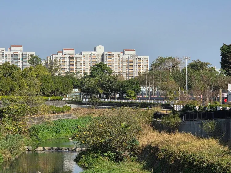 台南市「南區」擁有大片公園綠地，居住環境舒適、人口穩定，人流優勢成為彩券行密度居冠關鍵。永慶房產集團提供