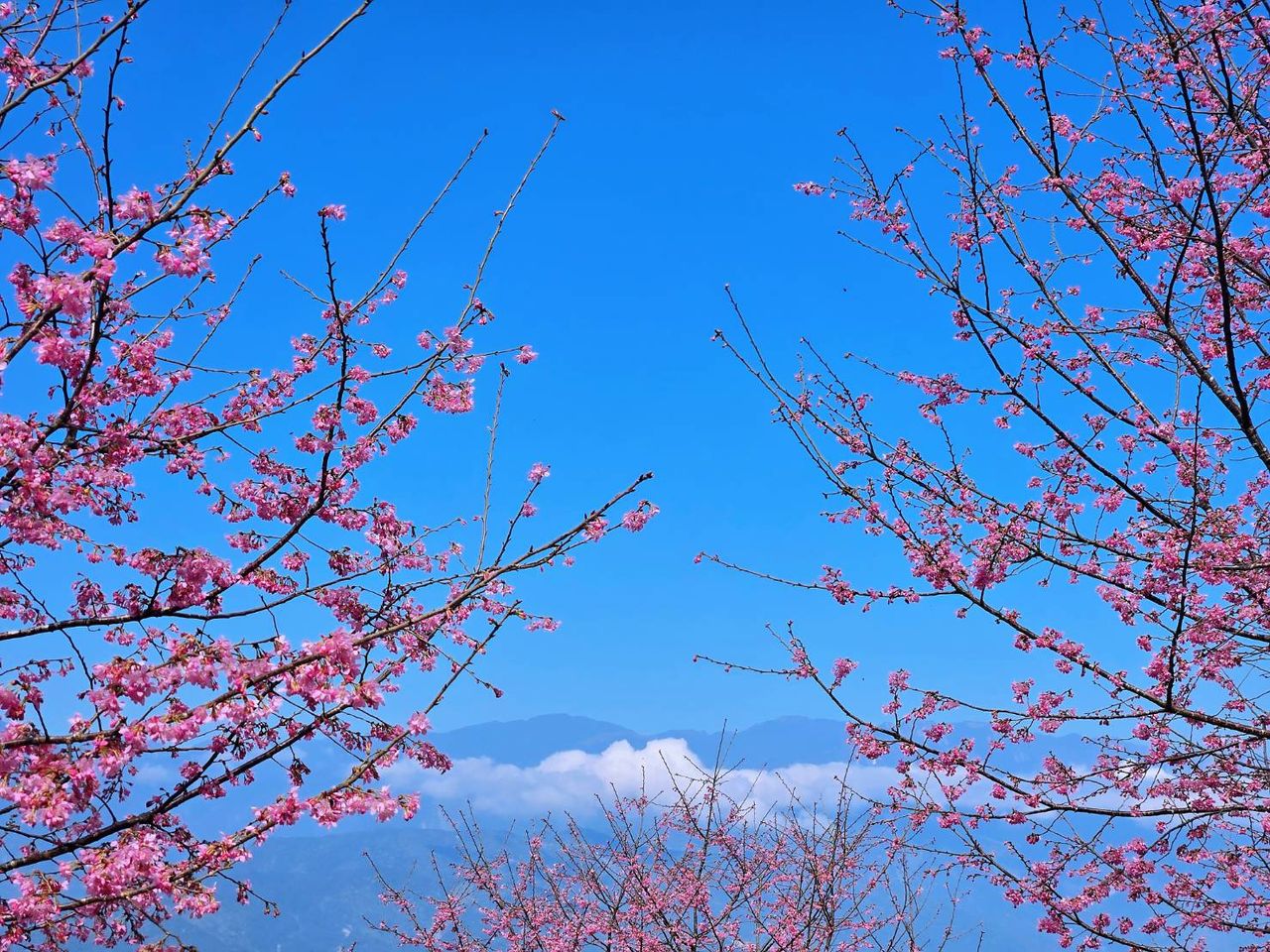 春節人潮花蓮3鄉鎮異軍突起 住房率衝破9成