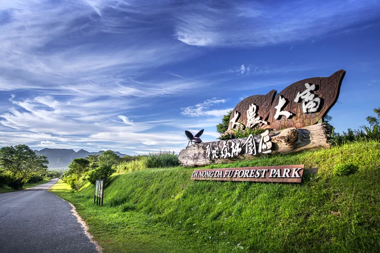 大農大富平地森林公園花海。花東縱谷國家風景區管理處提供