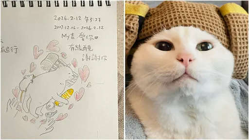 「白吉」驟逝！吉媽淚喊：今天要送走吉吉了　19萬粉絲不捨