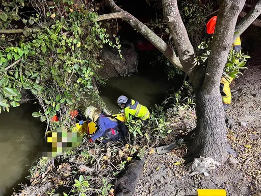 東港8旬翁出門運動摔落水溝樹枝堆　巡邏警出手救援