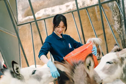 邵雨薇主演《動物園》金曲製作人操刀配樂　先喝殺青酒