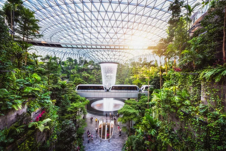 易遊網獨家攜手酷航祭出限定票價，飛新加坡單程未稅只要2138元起。業者提供