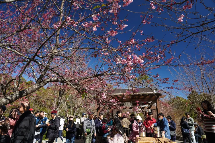 福壽山農場位於中央山脈與雪山山脈群峰之間，擁有獨特的高山田園景觀。翻攝福壽山農場臉書