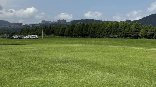 立春啟動新氣象　這些生肖爽被財神眷顧