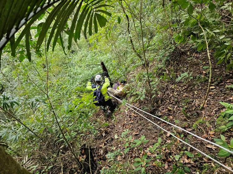 消防人員垂釣進行救援。翻攝畫面