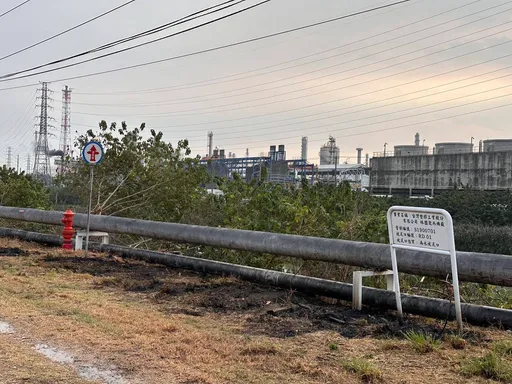 林園石化區旁抓綠鬣蜥誤觸高壓電！22歲男二度燒傷　4工廠停電5小時