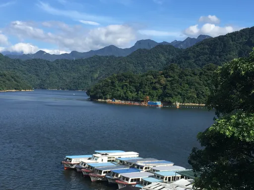 春節走春「水庫樂活行」不用人擠人　台灣藍鵲、五色鳥現身湖畔