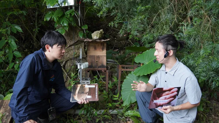 林楷軒2025年7月深入那瑪夏，訪視長期投入復育無螫蜂的青創團隊「迎蜂」，並與創辦人李秉衡交流。翻攝畫面