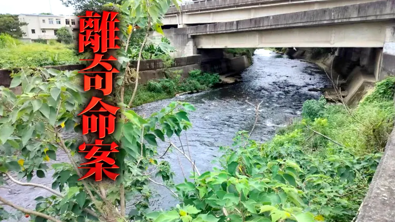 驚人棄屍案！桃園男失蹤　87歲老父認了：我把他丟進埔心溪