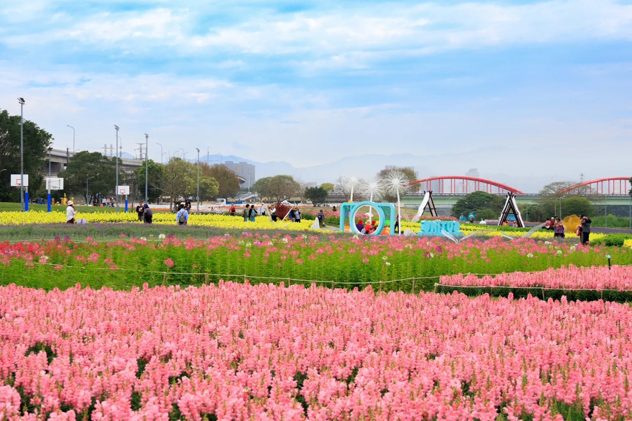 古亭河濱公園主題花海總面積當於21座籃球場。台北市工務局提供