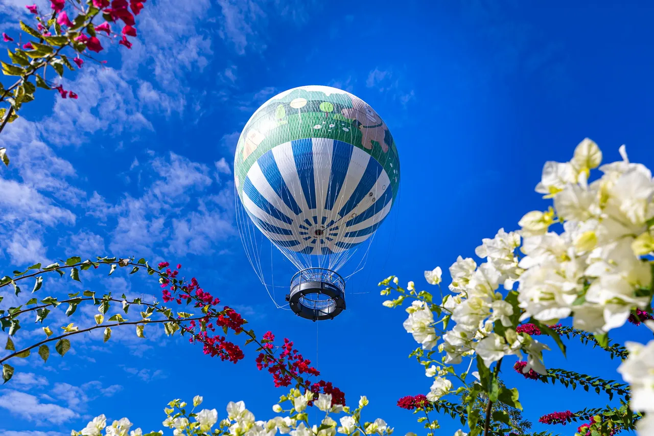 目前全亞洲僅韓國首爾及日本大阪有相同設施，預計每天最多可供600人搭乘。南投縣府提供