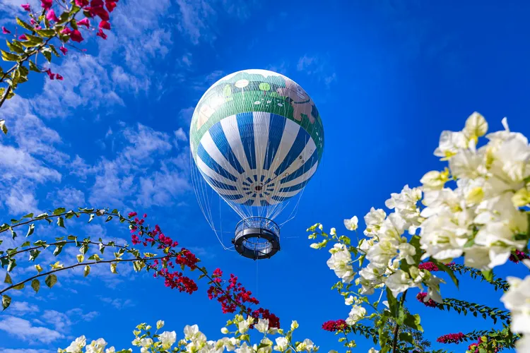 目前全亞洲僅韓國首爾及日本大阪有相同設施，預計每天最多可供600人搭乘。南投縣府提供