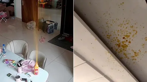 罐裝楊枝甘露常溫放8天「爆炸了」　她春節後返家驚睹四處殘渣