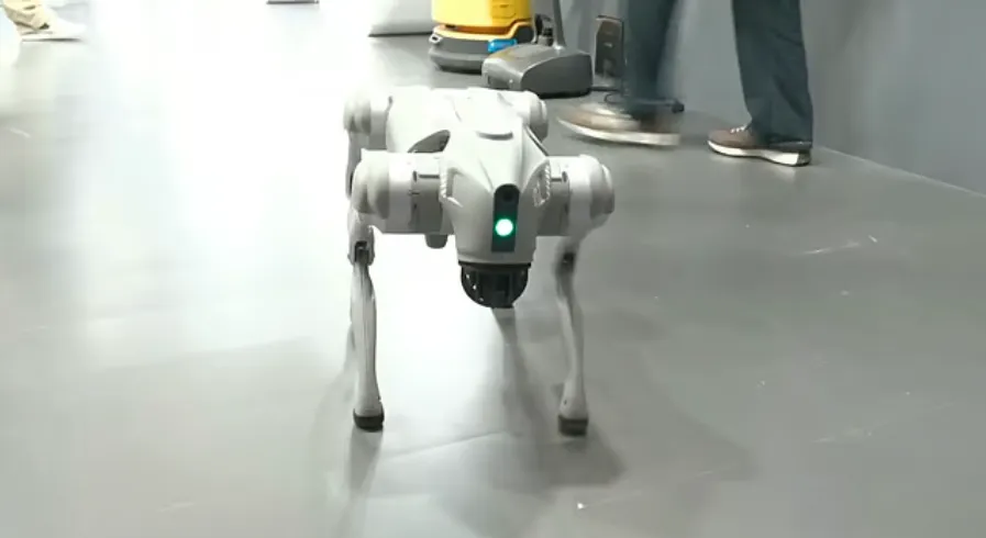 糗！印度學者吹噓發明機器狗　網友打臉「是中國產品」