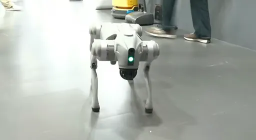 糗！印度學者吹噓發明機器狗　網友打臉「是中國產品」