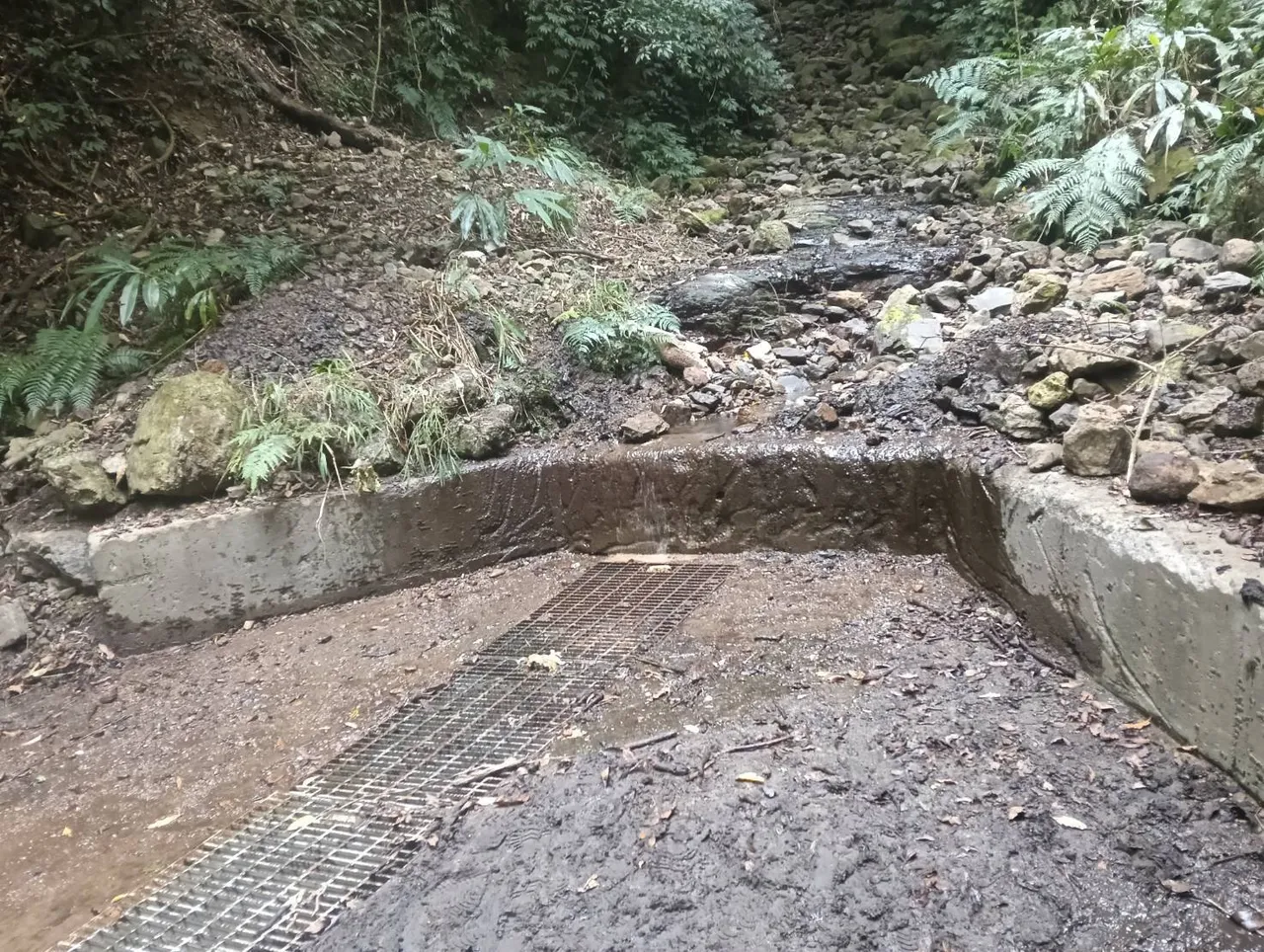 雪見遊憩區水源地大湖溪支流出水量嚴重不足。雪管處提供