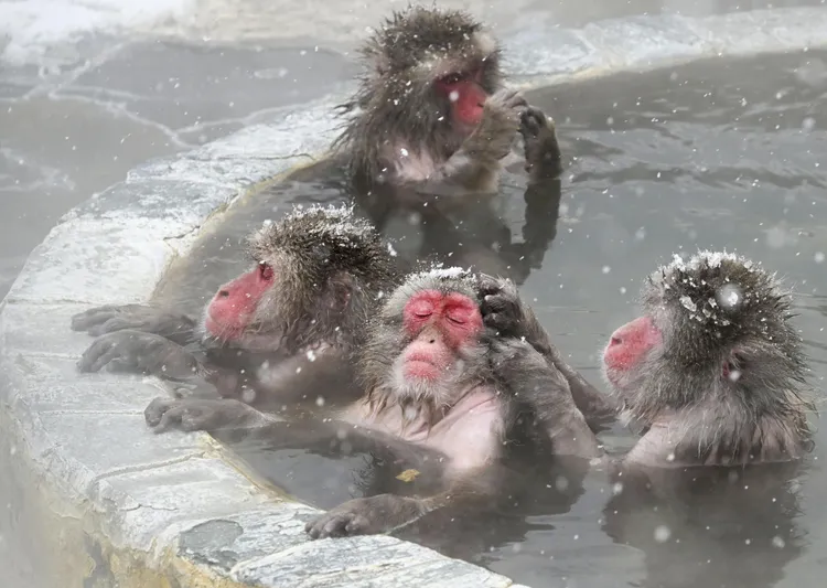日本北海道受冷氣團及降雪影響，6日可能出現暴風雪天氣。美聯社