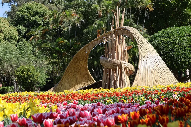 2026士林官邸鬱金香展自2月26日起至3月8日展出。翻攝士林官邸旅客臉書