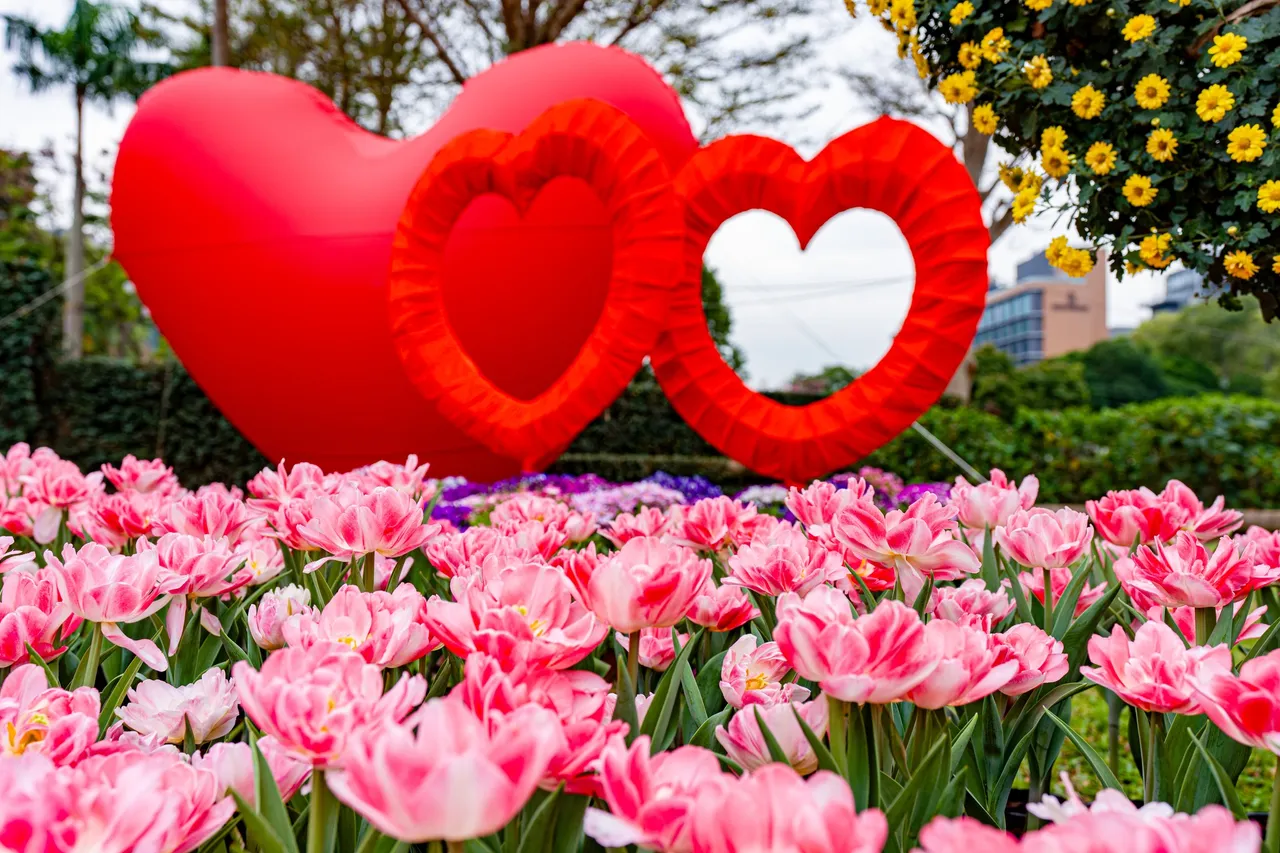 粉紅花海搭配愛心氣球，成為熱門拍照點。翻攝士林官邸旅客臉書