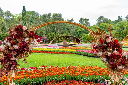 士林官邸鬱金香展登場！11萬株花海浪漫滿園　還能抽PRADA香水