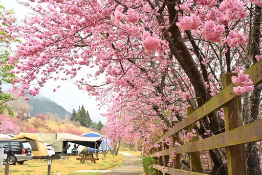2縣市大雨特報！連假春雨不停歇　下周降溫更明顯