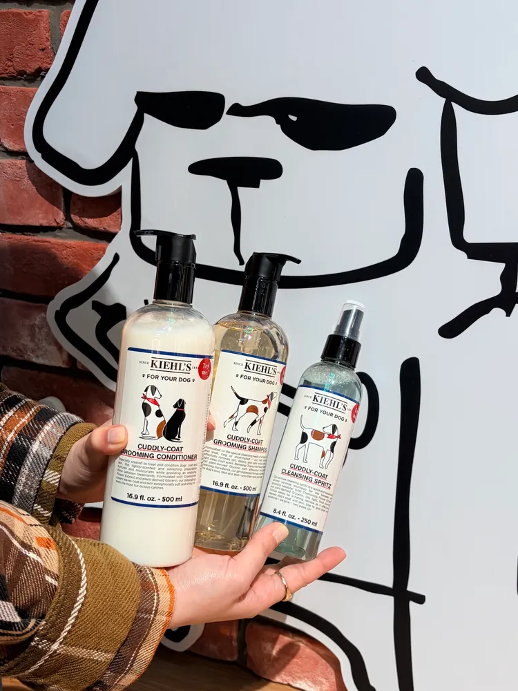 Kiehl's於南港LaLaport打造「全台最大」旗艦店，店內設有寵物專區。品牌提供