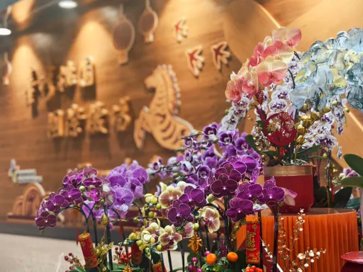 春節出國先感受年味　桃機馬年換新裝「馬上啟程」