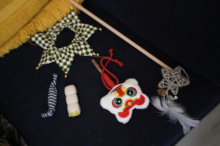 炎亞綸新年採買的逗貓玩具。彭欣偉攝