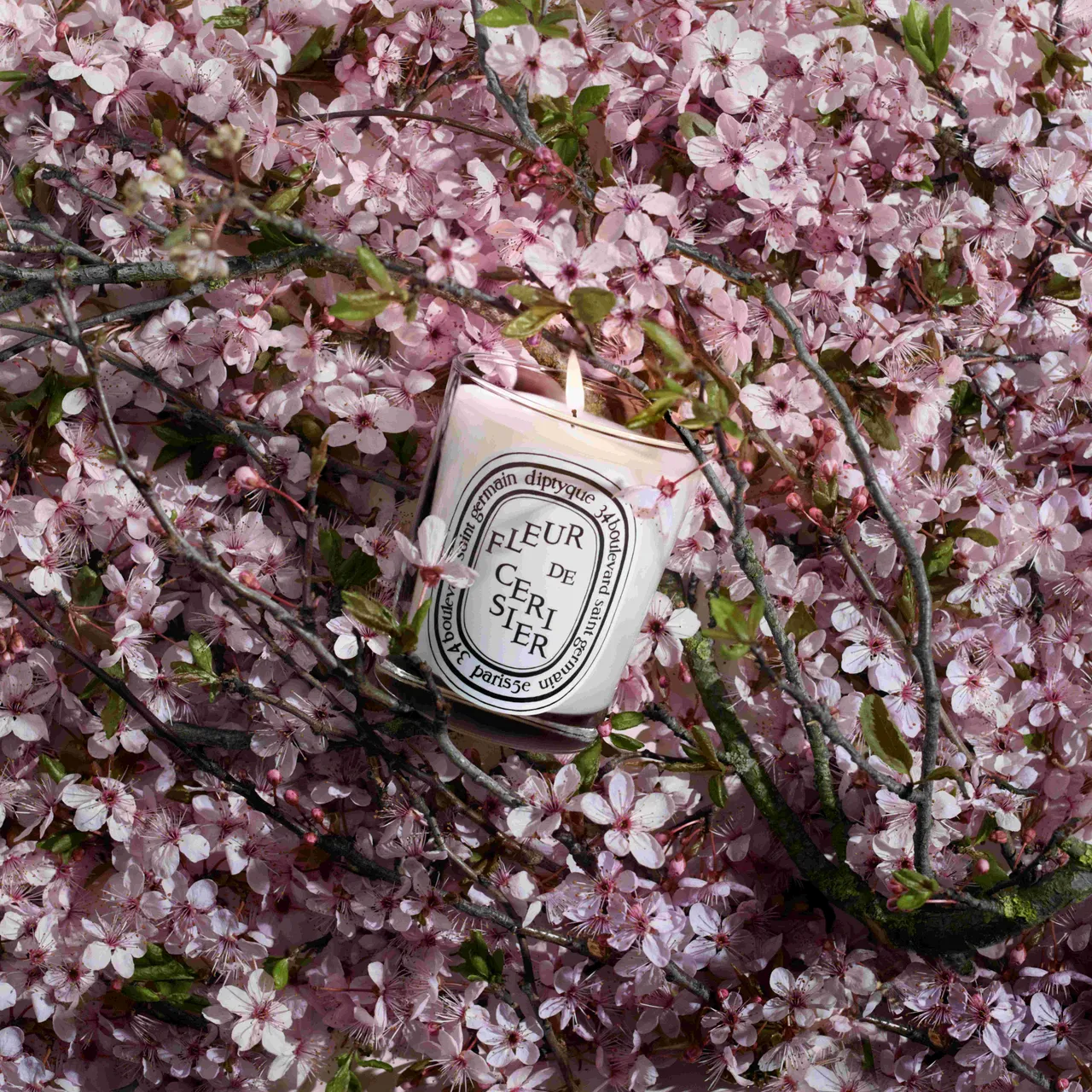 Diptyque推出季節限定版櫻花香氛蠟燭。品牌提供