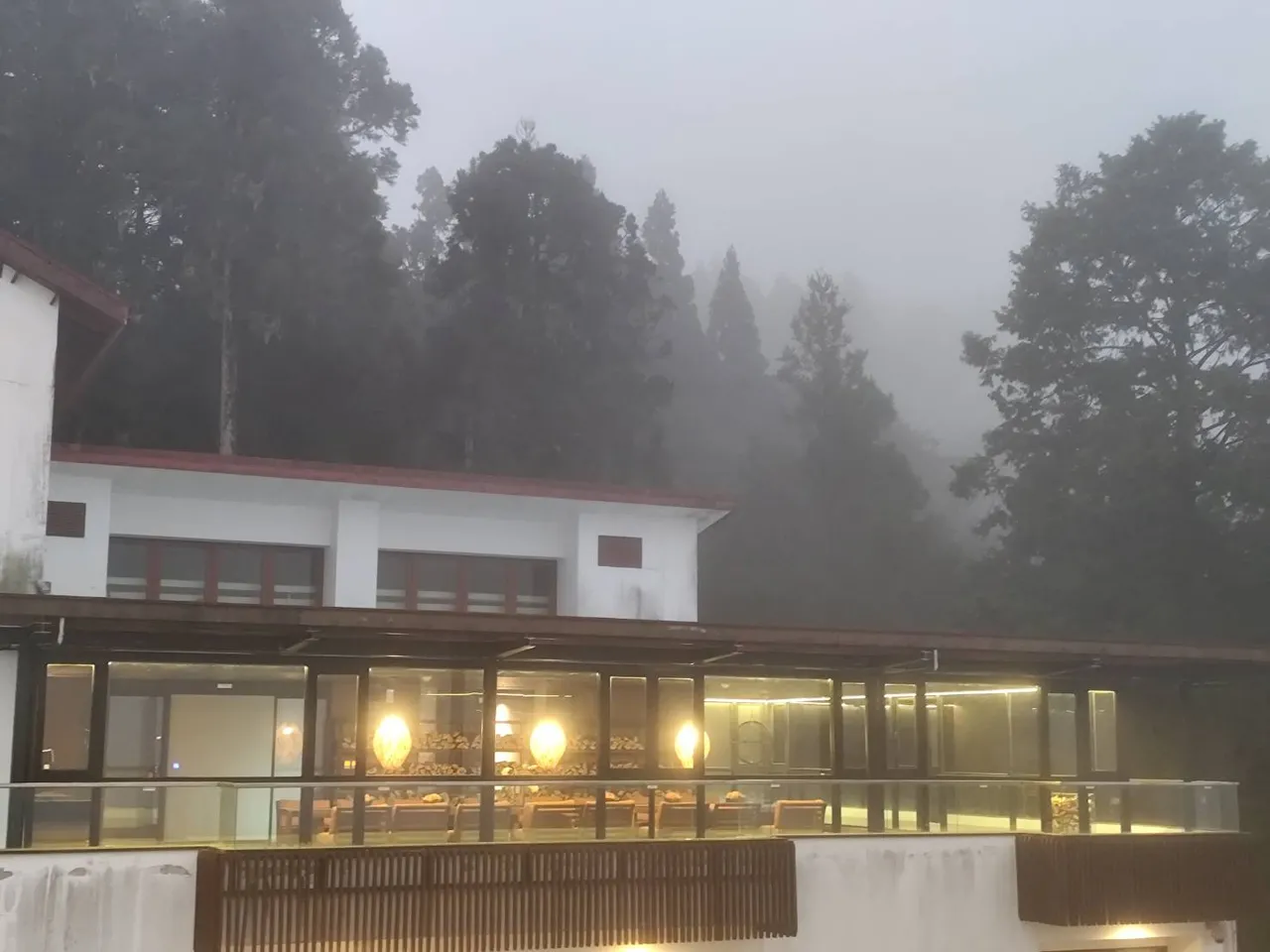 阿里山賓館沉浸在高山森林的雲霧流動療癒中。阿里山賓館提供