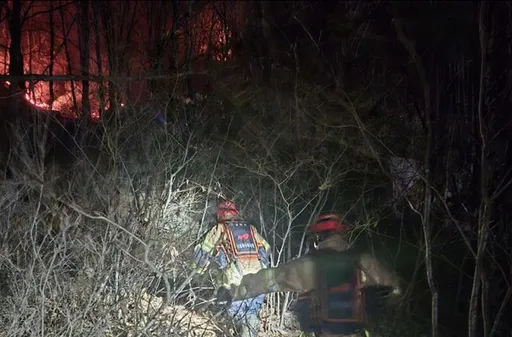 南韓F-16C夜訓墜山林起火　飛官彈射逃生