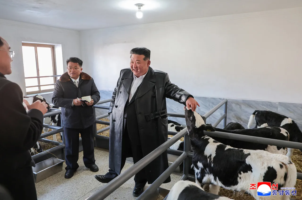金正恩除了精通飛彈研發之外，也熟知畜牧業知識喔。路透社