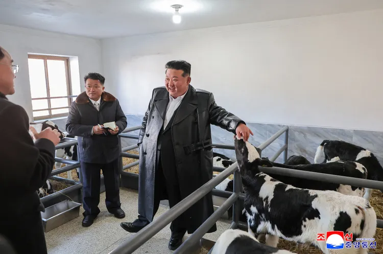 金正恩除了精通飛彈研發之外，也熟知畜牧業知識喔。路透社