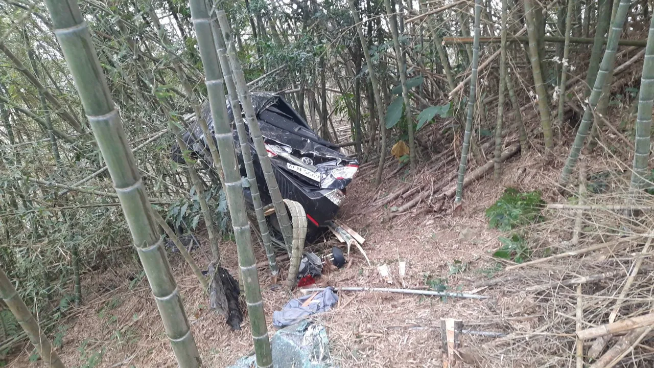 謝東哲曝光車禍後的車輛卡在竹叢中，險些跌落百公尺深谷情形。翻攝自謝東哲臉書