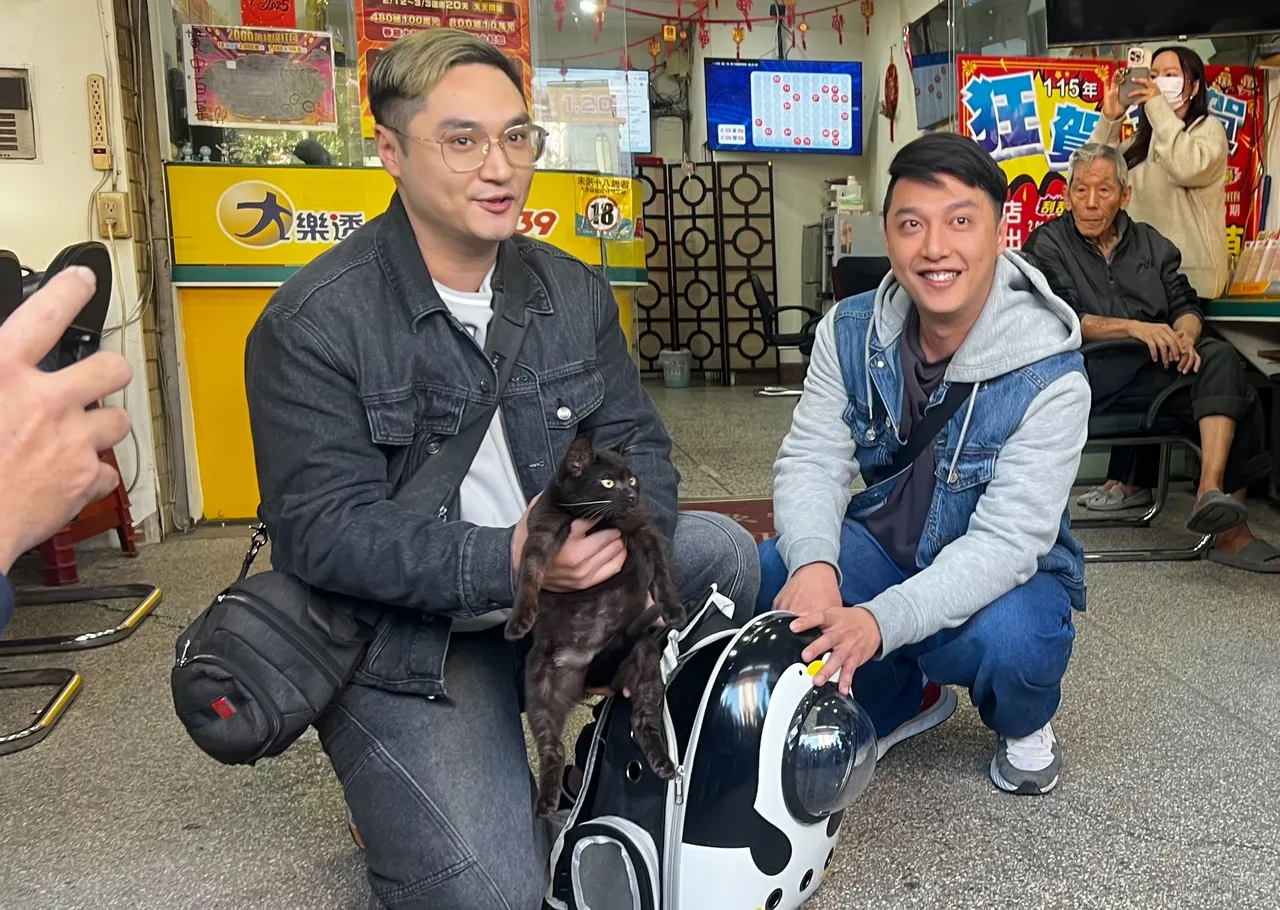 陳姓兄弟收養流浪貓「七七」，3天後竟刮中百萬大獎。鮮明攝